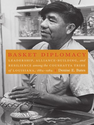 cover image of Basket Diplomacy